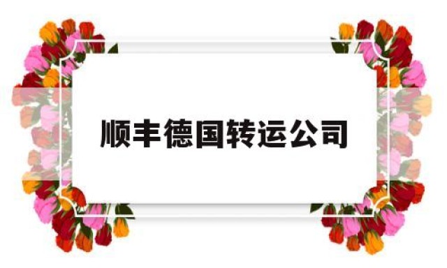 顺丰德国转运公司